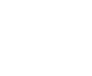 Evolution games at Bet Flip Casino